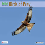 British Birds of Prey 2025 Calendar by Laurie Campbell