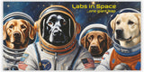 Labradors in Space 2025 Calendar