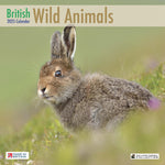 British Wild Animals 2025 Calendar by Laurie Campbell