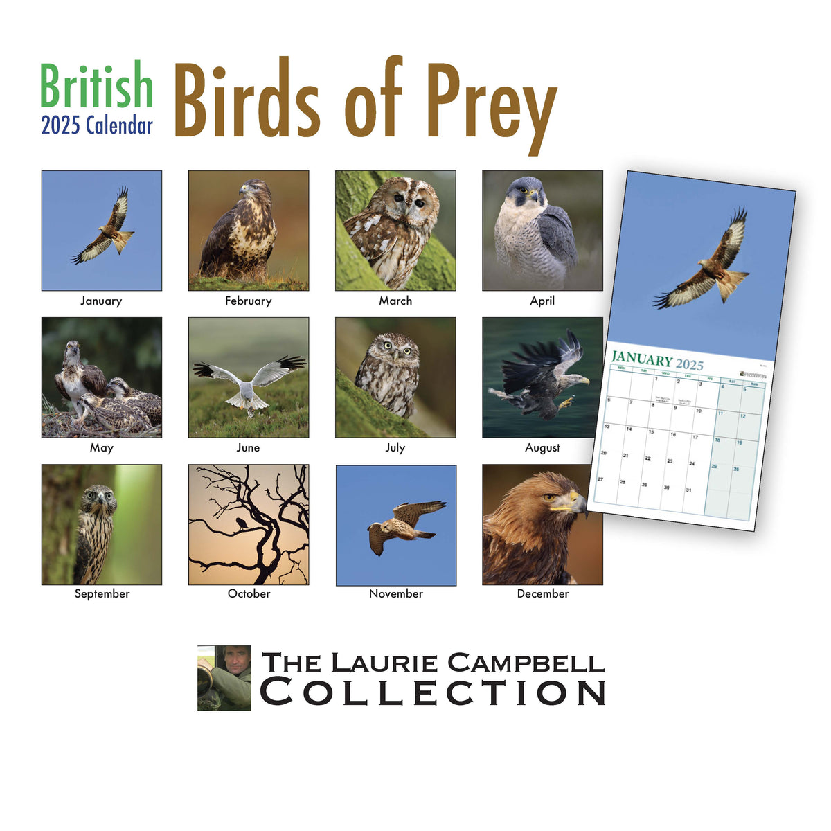 British Birds of Prey 2025 Calendar by Laurie Campbell Online